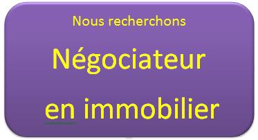 emploi conseil en immobilier